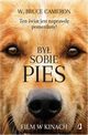 By sobie pies. Ten wiat jest naprawd pomerdany, W. Bruce Cameron