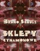 Sklepy cynamonowe, Bruno Schulz