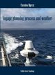 Voyage planning process and weather, Czesaw Dyrcz