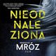 Nieodnaleziona, Remigiusz Mrz