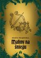 Maliny na niegu, Marta Krajewska