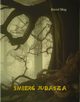 mier Judasza, Karol May