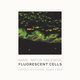 Fluorescent cells. Confocal microscope images album, Kamil Artur Majewski