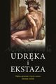 Udrka i ekstaza, Irving Stone