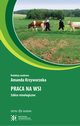 Praca na wsi. Szkice etnologiczne, 