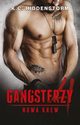 Gangsterzy. Nowa krew #4, K.c. Hiddenstorm