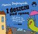 Z deszczu pod rynn czyli o wyraeniach, ktre pokazuj jzyk, Marcin Brykczyski