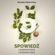 Spowied. 5 problemw duych 5 problemw maych, Piotr Jordan liwiski OFMCap