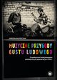Muzyczne przygody gustu ludowego, Mirosaw Pczak