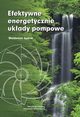 Efektywne energetycznie ukady pompowe, Waldemar Jdral