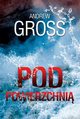 Pod powierzchni, Andrew Gross