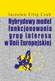 Hybrydowy model funkcjonowania grup interesu w Unii Europejskiej, Jarosaw Filip Czub