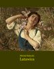 Latawica, Micha Baucki