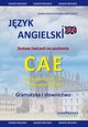 Jzyk angielski - zestaw wicze na poziomie CAE, Sylwia Wojciechowska-Bartkiewicz