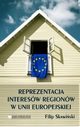 Reprezentacja Interesw Regionw w Unii Europejskiej, Filip Skawiski