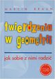 Twierdzenia w geometrii. Jak sobie z nimi radzi, Marcin Braun