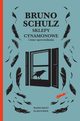 Sklepy cynamonowe i inne opowiadania, Bruno Schulz