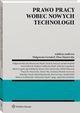 Prawo pracy wobec nowych technologii, Eliza Maniewska