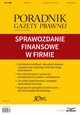Sprawozdanie finansowe w firmie, Infor Pl