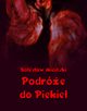 Podre do piekie, Bolesaw Miciski