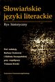 Sowiaskie jzyki literackie, 