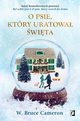 O psie, ktry uratowa wita, W. Bruce Cameron