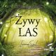 ywy Las, Iwona Szul