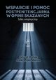 Wsparcie i pomoc postpenitencjarna w opinii skazanych. Szkic empiryczny, Janusz Stanek, Aleksander Maka