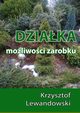 Dziaka. Moliwoci zarobku, Krzysztof Lewandowski