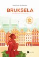 Bruksela. Zwierzco w miecie, Grayna Plebanek