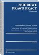 Zbiorowe prawo pracy. Komentarz, Alina Wypych-ywicka, ukasz Pisarczyk, Artur Tomanek, Marcin Wujczyk, Anna Musiaa, Daniel Ksiek, Jacek Mcina, Iwona Sierocka, Jan Pitkowski, Krzysztof Wojciech Baran