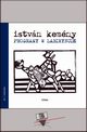 Programy w labiryncie, Istvn Kemny