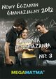 Matematyka-Arkusz egzaminu gimnazjalnego MegaMatma nr 3. Zadania z rozwizaniami., Praca zbiorowa