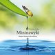 Mininawyki. Maymi krokami do sukcesu, Stephen Guise