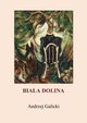 Biaa dolina, Andrzej Galicki