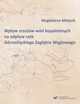 Wpyw zrzutw wd kopalnianych na odpyw rzek Grnolskiego Zagbia Wglowego, Magdalena Matysik