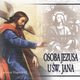 Osoba Jezusa u w. Jana, Tadeusz Hajduk