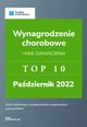 Wynagrodzenie przedsibiorcw i inne wiadczenia. TOP10 padziernik 2022., Katarzyna Dorociak, Anna Hugiel-Lazarowicz, Katarzyna Tokarczyk, Zesp wFirma