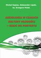 Aksjologia w czasach kultury modoci - szkic do portretu, 