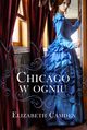 Chicago w ogniu, Elizabeth Camden