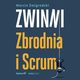 Zwinni. Zbrodnia i Scrum, Marcin migrodzki