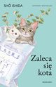 Zaleca si kota, Sho Ishida