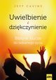 Uwielbienie i dzikczynienie, Jeff Cavins