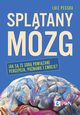 Spltany mzg, Luiz Pessoa