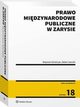 Prawo midzynarodowe publiczne w zarysie, Wojciech Gralczyk, Stefan Sawicki