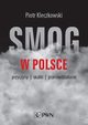 Smog w Polsce, Piotr Kleczkowski