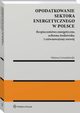 Opodatkowanie sektora energetycznego w Polsce, Mateusz Lewandowski