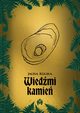 Wiedmi kamie, Jagna Rolska