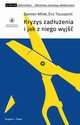 Kryzys zaduenia i jak z niego wyj, Damien Millet