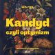 Kandyd, czyli optymizm, Wolter